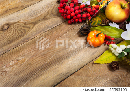Fall background pumpkin, apple, leaf, rowan berry Fall background pumpkin, apple, leaf, rowan berry 35593103