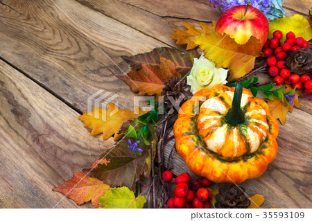 Thanksgiving background yellow, red, green leaves Thanksgiving background yellow, red, green leaves 35593109