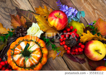 Thanksgiving pumpkin, lilac flowers arrangement Thanksgiving pumpkin, lilac flowers arrangement 35593112