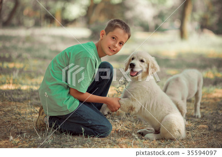 Retriever pup Lovely scene handsom teen boy  35594097