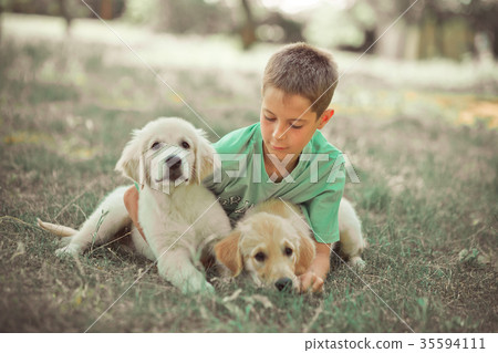 Retriever pup Lovely scene handsom teen boy Retriever pup Lovely scene handsom teen boy 35594111