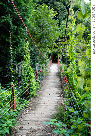 Gotenyama櫻花橋 35594308