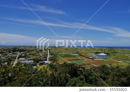 Okinawa Okinawa 35595003
