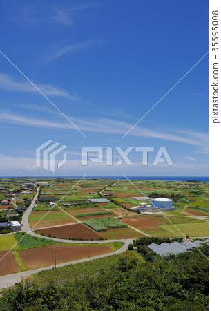 Okinawa Okinawa 35595008