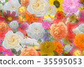 各種各樣的花有許多紋理☆背景牆紙 35595053
