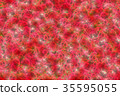 紅色玫瑰花紋理☆背景牆紙 35595055