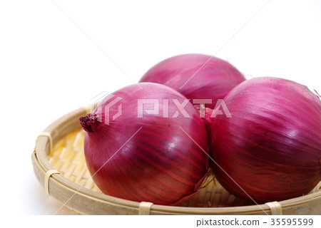 Early red Red onion 3 pieces Takezaru b Right justified 35595599