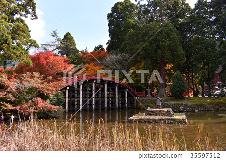 Nijo東京Hiyori寺廟Taiko橋樑在秋天 35597512