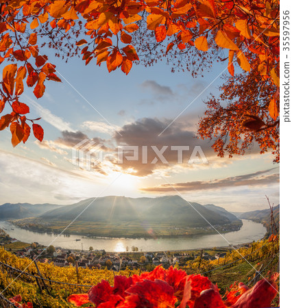 Wachau valley, Spitz village with river, Austria. 35597956