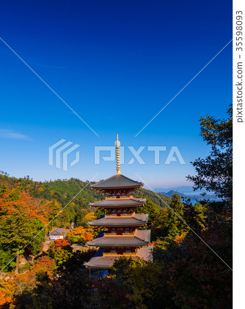 Five-story pagoda of autumn leaves and the Sea of Japan 35598093