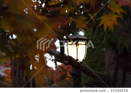 Streetlight and autumn leaves Streetlight and autumn leaves 35598438