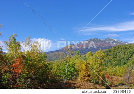 秋天的Norikura Kogen 秋天的Norikura Kogen 35598456