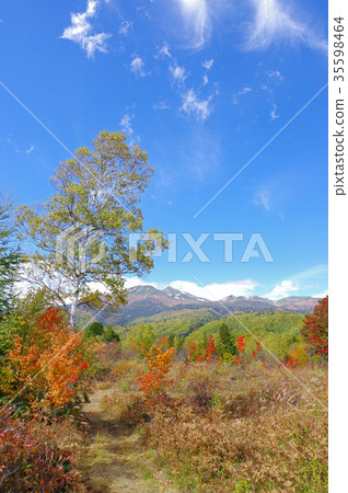 秋天的Norikura Kogen 35598464