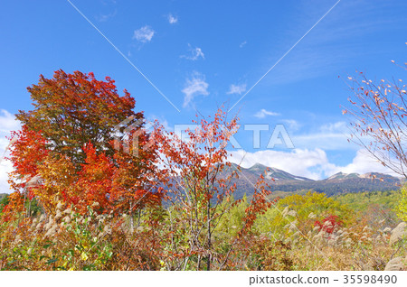 Norikura Kogen in autumn 35598490