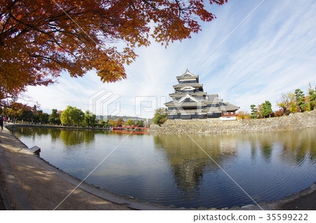 Autumn of Shinshu Matsumoto National treasure colored by autumn leaves Matsumoto Castle Existing 12 One of the temples Matsumoto Tourism center 35599222