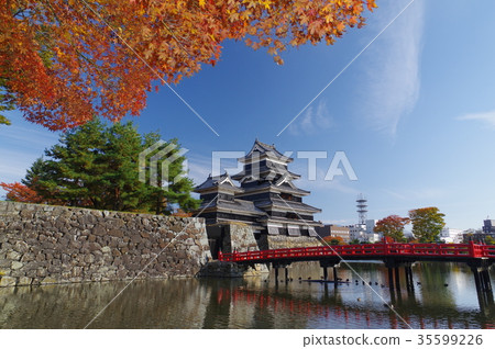 Autumn of Shinshu Matsumoto National treasure colored by autumn leaves Matsumoto Castle Existing 12 One of the temples Matsumoto Tourism center Autumn of Shinshu Matsumoto National treasure colored by autumn leaves Matsumoto Castle Existing 12 One of the temples Matsumoto Tourism center 35599226