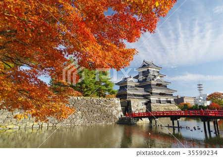 Autumn of Shinshu Matsumoto National treasure colored by autumn leaves Matsumoto Castle Existing 12 One of the temples Matsumoto Tourism center 35599234