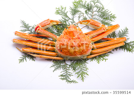 Snow crab ingredients Snow crab ingredients 35599514