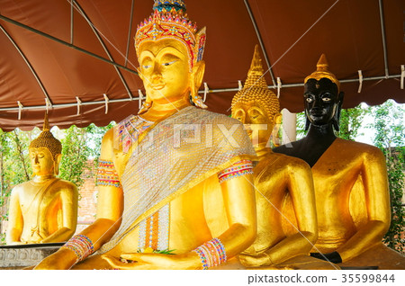 Wat Phukao Thong 35599844