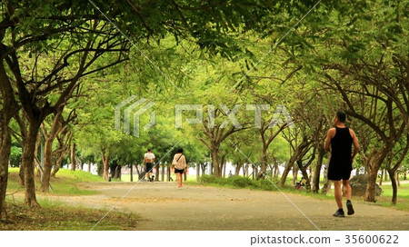 綠意盎然的衛武營都會公園 綠意盎然的衛武營都會公園 35600622