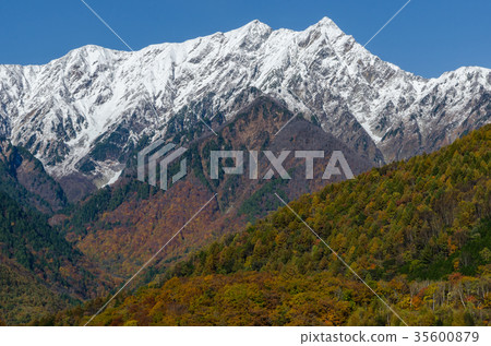 Shinshu landscape Autumn leaves and the Northern Alps 35600879