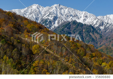 Shinshu landscape Autumn leaves and the Northern Alps 35600880