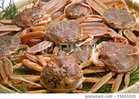 Snow crab female ingredients Snow crab female ingredients 35601020