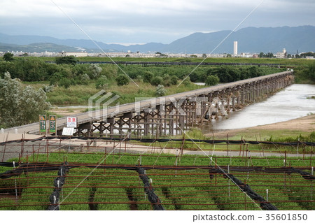 Nagahashi Bridge Faraway view (Hachiman City, Kyoto Prefecture) 35601850