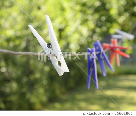 clothes pin clothes pin 35601965
