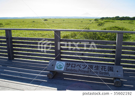 夏天Sarobetsu主要花園牌 夏天Sarobetsu主要花園牌 35602192