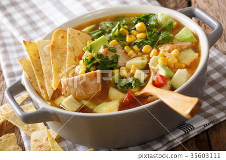 spicy tortilla soup with chicken, cilantro, tomato 35603111