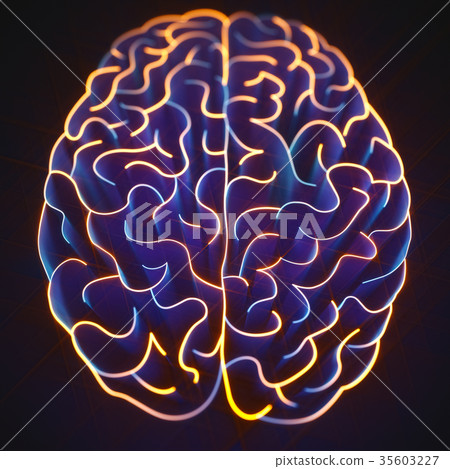 Closed Brain Maze Closed Brain Maze 35603227