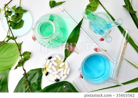 Natural organic botany and scientific glassware. Natural organic botany and scientific glassware. 35603562