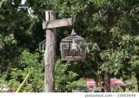 Beautiful old lamp, birdcage lamp 35603649