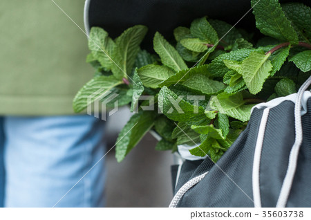 closeup of leaves int at the market in trolley 35603738