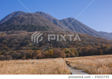 Chodaihara秋葉 Chodaihara秋葉 35603745