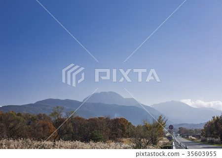 Autumn Iida Kogen 35603955