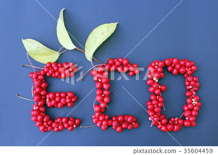 word Eco from red ripe berries of schisandra word Eco from red ripe berries of schisandra 35604459