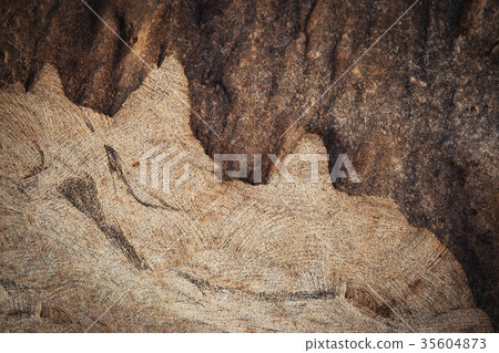 abstract detail of cut sandstone 35604873