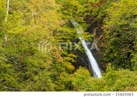 Akiyama Township 35605065