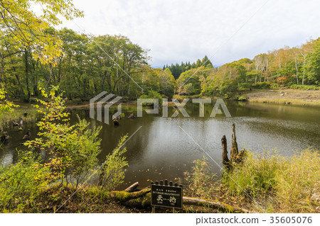 秋山鄉 秋山鄉 35605076