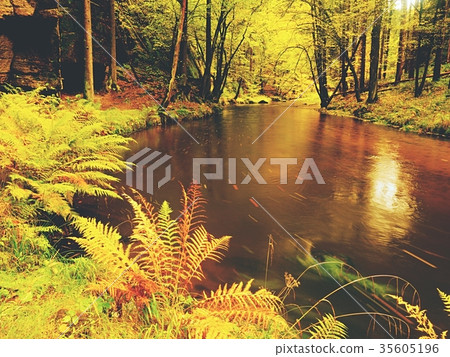Vivid autumn. Colors of autumnal river in forest. 35605196