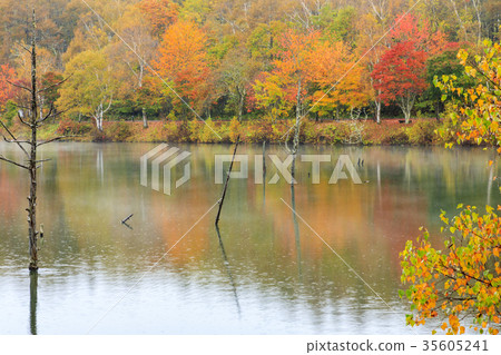 Lake Goddess Lake Goddess 35605241