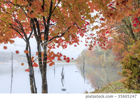 Lake Goddess Lake Goddess 35605247