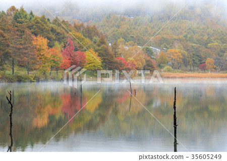湖女神 湖女神 35605249