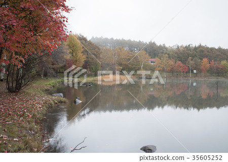 Lake Goddess 35605252