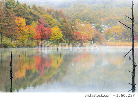 湖女神 湖女神 35605257