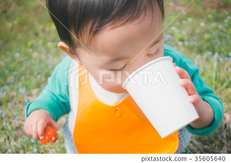 strawberry picking, picking fruit, child 35605640