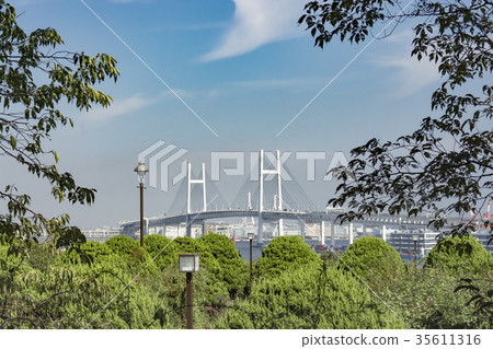 橫濱灣大橋(從山上公園可以看到海港) 橫濱灣大橋(從山上公園可以看到海港) 35611316