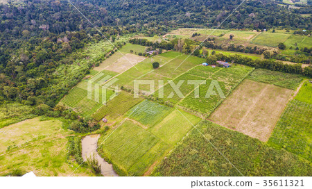 An aerial view of Agricultural area An aerial view of Agricultural area 35611321